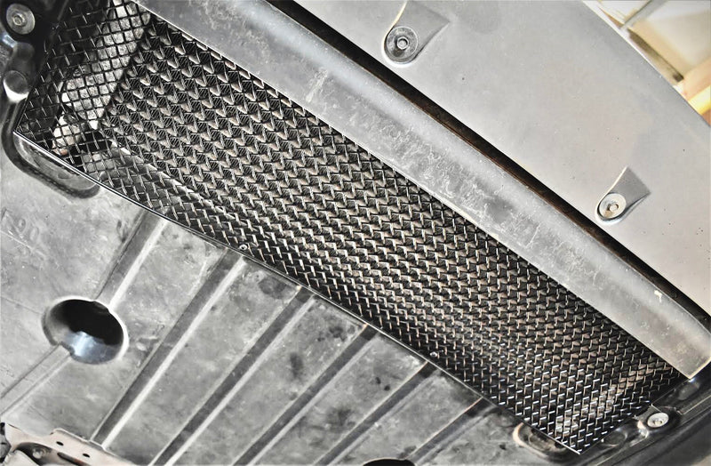 BMW M5 Competition F90 - Oil Cooler Grille (2018 - 2020)