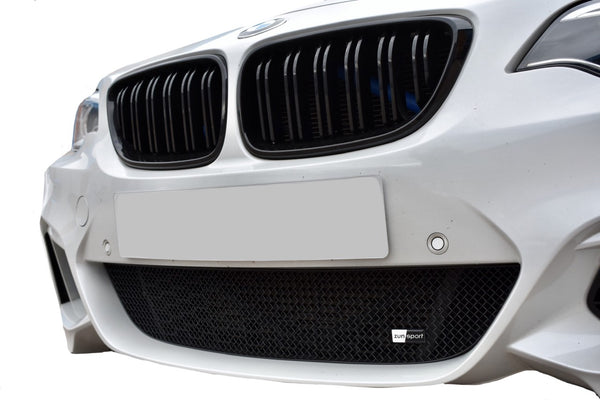 BMW 2-Series (M235i,M240i,M-Sport) - Lower Grille ( (2012 - 2021))