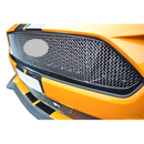Ford Mustang GT Facelift - Front Grille Set - Silver finish (2018 -)