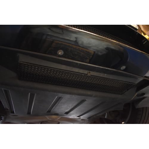 BMW M5 F10 - Oil Cooler Grille - Black Finish (2011 - 2016)