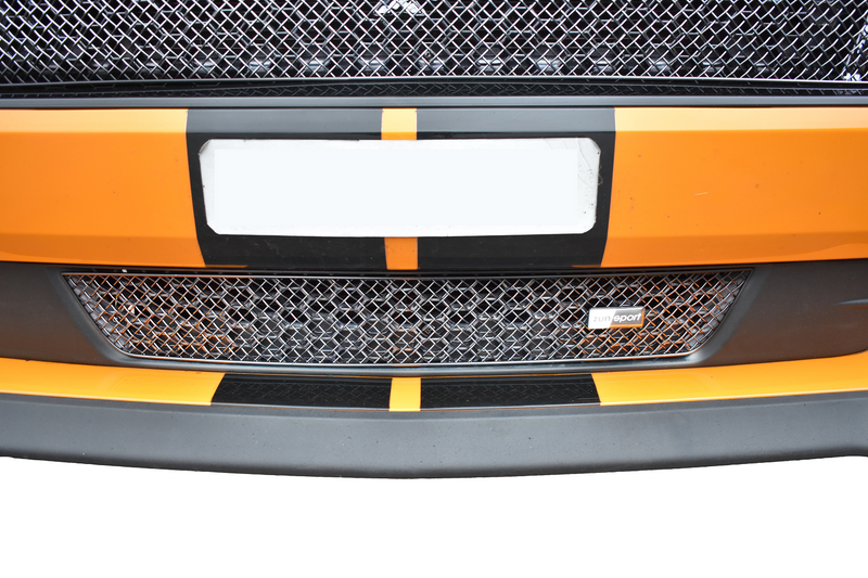 Ford Mustang GT Facelift - Lower Grille - Silver finish (2018 -)