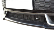 Mini Clubman JCW - Centre Grille (2019 - ) Omi Grille