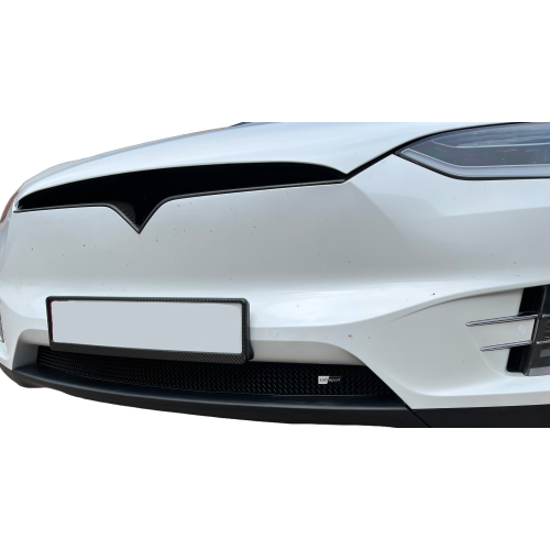 Tesla Model X - Lower Grille - Silver Finish (2016 -)
