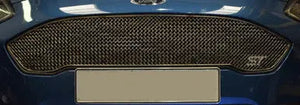 Ford Fiesta ST MK8 - Upper Grille (2018 - )