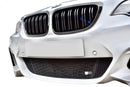 BMW 2-Series (M235i,M240i,M-Sport) - Lower Grille ( (2012 - 2021))