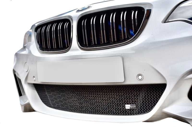 BMW 2-Series (M235i,M240i,M-Sport) - Lower Grille ( (2012 - 2021))