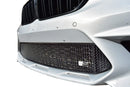 BMW M2 Competition (F87) - Centre Grille - Silver Finish (2019 - ) Omi Grille