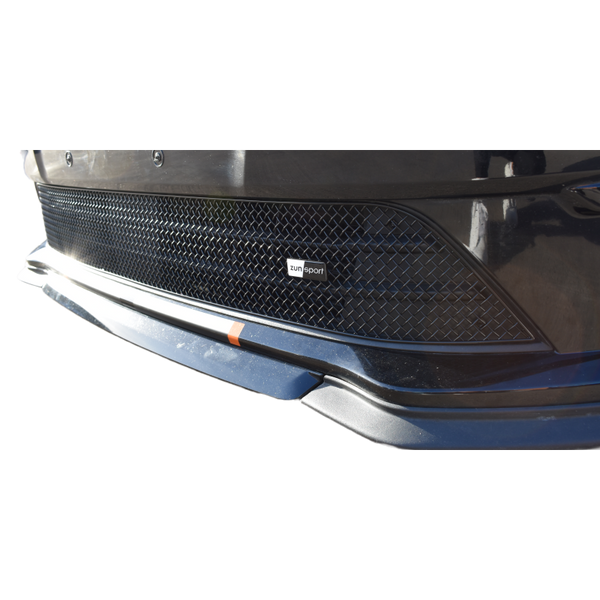 Ford Transit Connect Facelift - Lower Grille (2019 -)