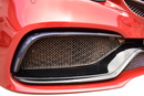 Mercedes AMG C63 (W205) - Outer Grille Set (2016 - 2018)