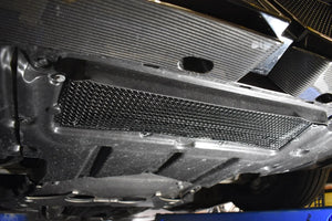 Omi compatible with BMW M5 G90 / G99 Oil Cooler Grille - (2024 -)