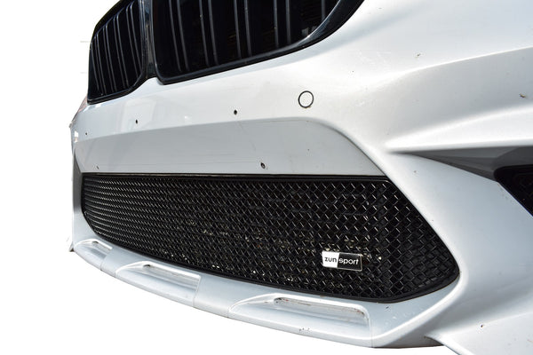 BMW M2 Competition (F87) - Centre Grille (2019 - )
